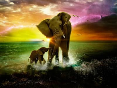 Elephant Diamond Painting Kits-Heartful Diamonds