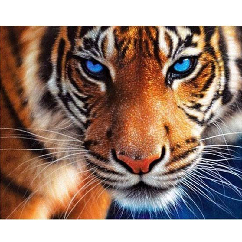 Tigers-Heartful Diamonds