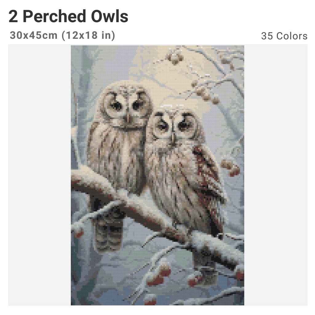 2 Perched Owls Diamond Painting Kit-30x45cm (12x18 in)-Heartful Diamonds