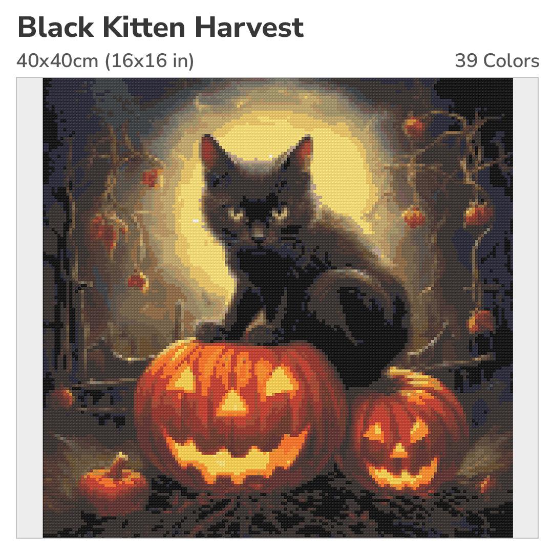 Black Kitten Harvest 40x40cm Diamond Painting Kit-Heartful Diamonds