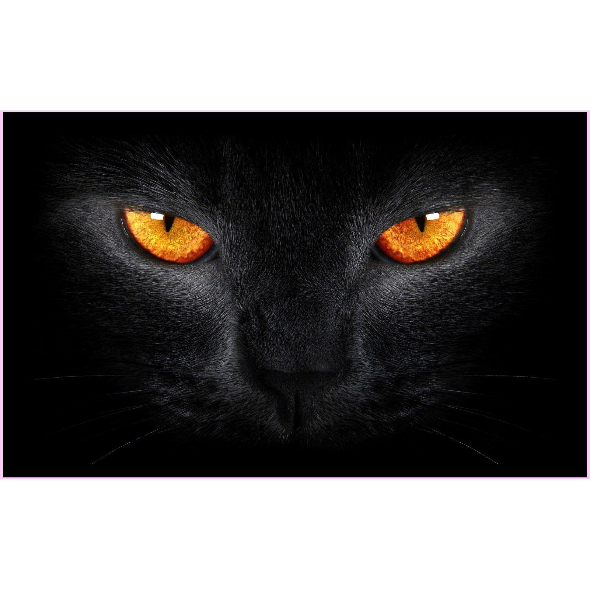 Menacing Black Cat-Diamond Painting Kit-Heartful Diamonds
