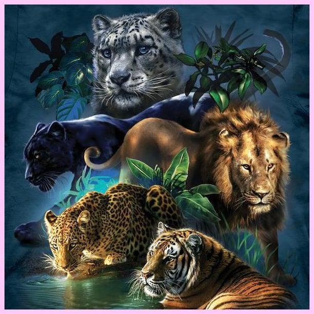The Five Greatest Big Cats-Diamond Painting Kit-Heartful Diamonds