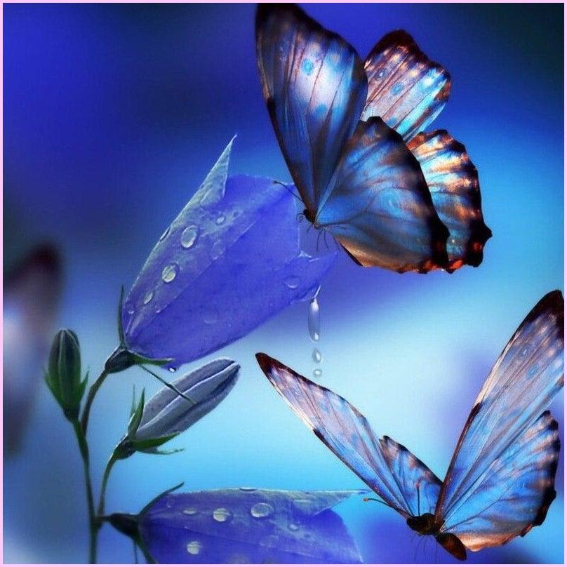 Indigo Butterfly-Diamond Painting Kit-Heartful Diamonds
