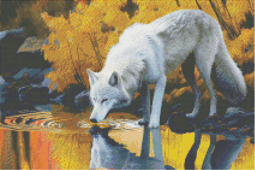 Wolf Refreshed by the Lake-Diamond Painting Kit-Heartful Diamonds