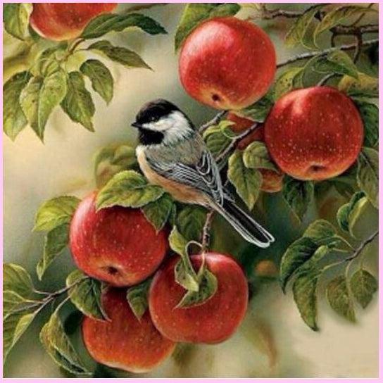 Exploring an Apple Orchard-Diamond Painting Kit-Heartful Diamonds