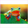 Hanging Tree Frog-Diamond Painting Kit-Heartful Diamonds