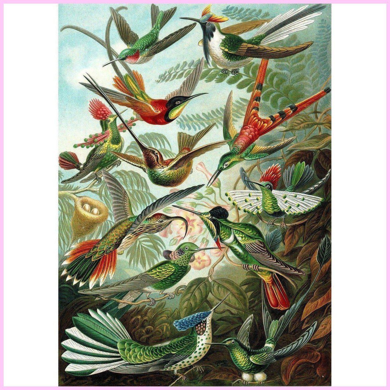 Hummingbird Sanctuary-Diamond Painting Kit-Heartful Diamonds
