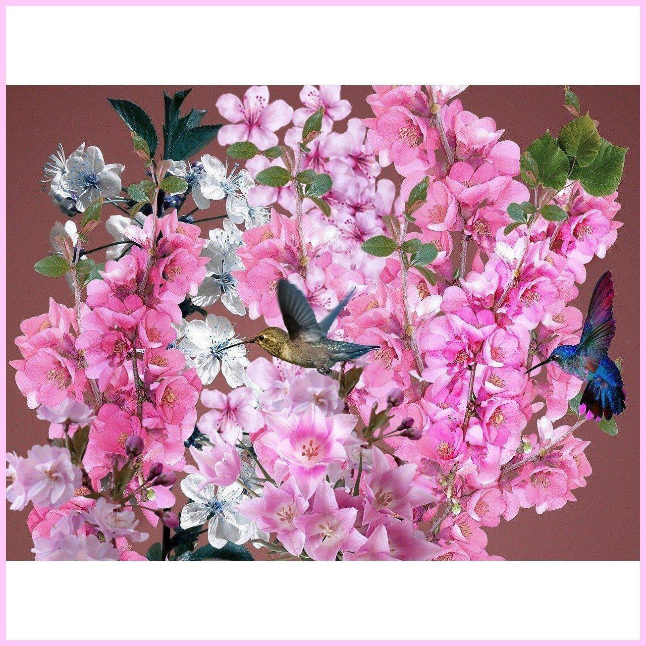 Hummingbirds and Flowers-Diamond Painting Kit-Heartful Diamonds