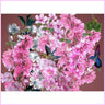 Hummingbirds and Flowers-Diamond Painting Kit-Heartful Diamonds