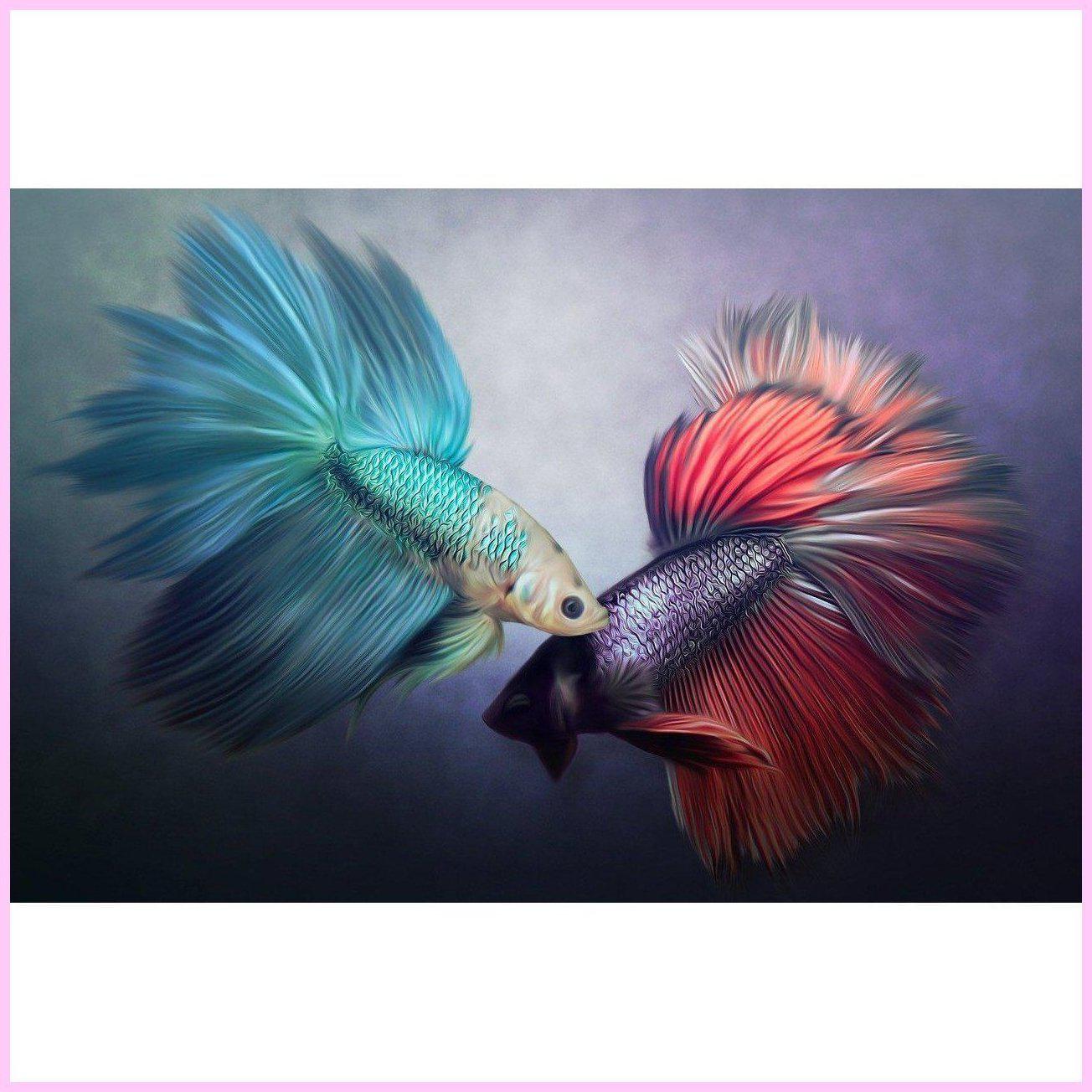 Two Fighting Fish-Diamond Painting Kit-Heartful Diamonds