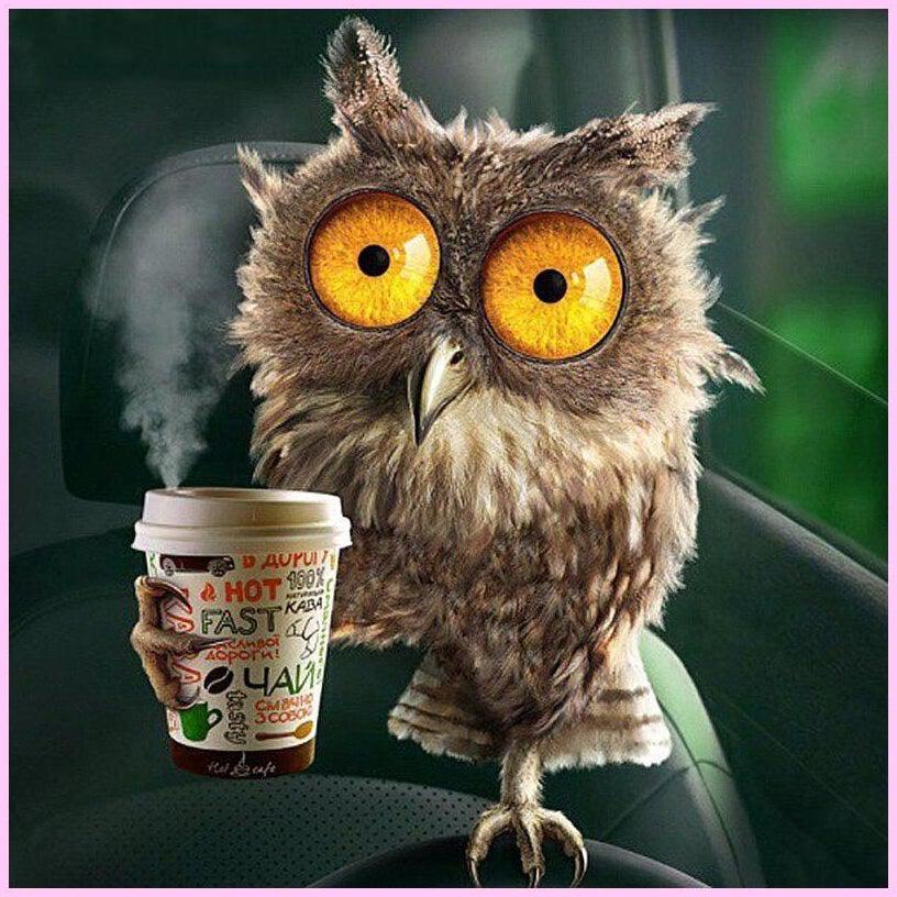 Nocturnal Owl-Diamond Painting Kit-Heartful Diamonds