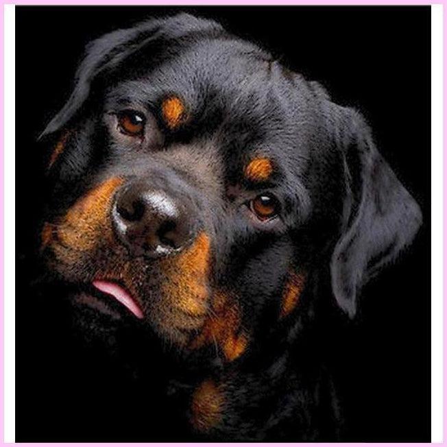 Rottweiler Portrait Diamond Painting-Diamond Painting Kit-Heartful Diamonds