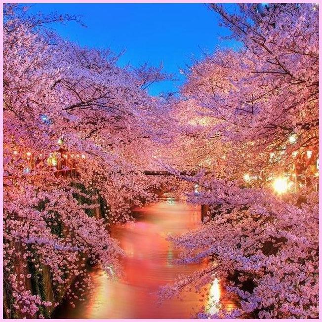 River Pink Sakura-Diamond Painting Kit-Heartful Diamonds