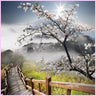Mountain White Sakura-Diamond Painting Kit-Heartful Diamonds
