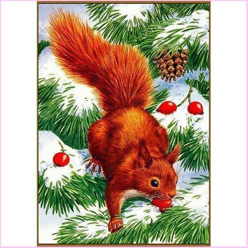 Squirrel in Snow - Starter Edition-Starter Kit-Heartful Diamonds
