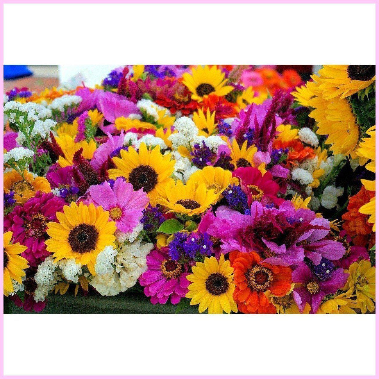 Sunflower Garden-Diamond Painting Kit-Heartful Diamonds