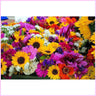 Sunflower Garden-Diamond Painting Kit-Heartful Diamonds