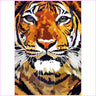 Tiger Closeup-Diamond Painting Kit-Heartful Diamonds